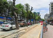 富怡花园-环境绿化