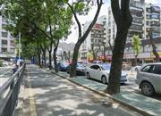 富怡花园-环境绿化