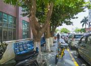 石鸿花园-环境绿化