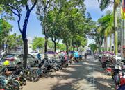 石鸿花园-环境绿化