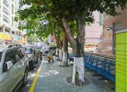 石鸿花园-环境绿化