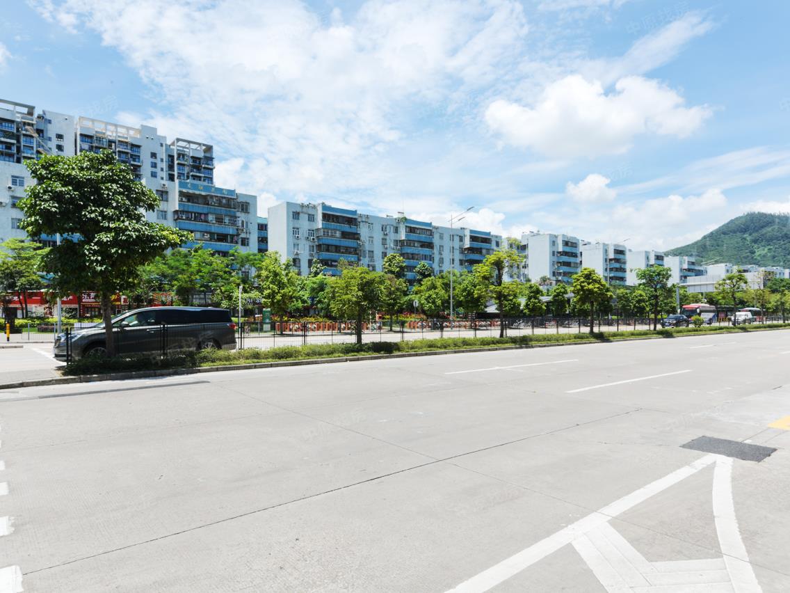 装修 业主换大房急卖 文理实验未用,深圳南山西丽龙联花园二手房两室