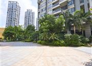 海馨苑-环境绿化