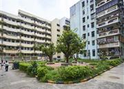 红岗花园公寓-环境绿化