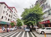 祥兴楼-环境绿化