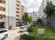 保税区第一生活区-环境绿化