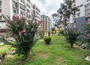 保税区第一生活区-环境绿化