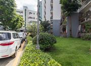 保税区第一生活区-环境绿化