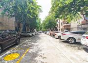 太平洋住宅楼-环境绿化