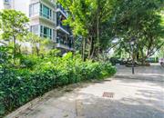 太平洋住宅楼-环境绿化