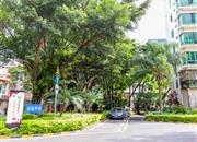 帝景园（一期）-环境绿化