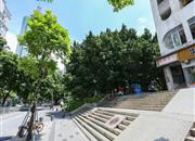 新洲市场公寓楼-环境绿化