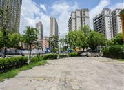 新洲市场公寓楼-环境绿化