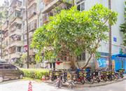 光大村-环境绿化