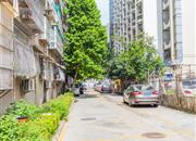 光大村-环境绿化