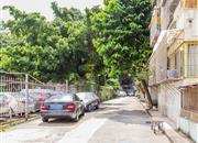 光大村-环境绿化