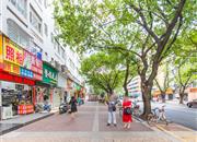 荔芳村-环境绿化