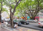 荔芳村-环境绿化