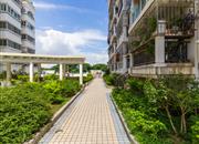 中山颐景花园（二期）-环境绿化