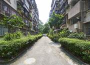 128号大院住宅楼-环境绿化