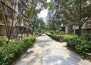 128号大院住宅楼-环境绿化