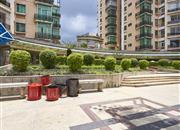 景庭苑-环境绿化