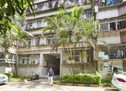 泰丽苑-环境绿化