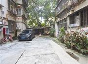 金盾花园-环境绿化