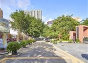 文华花园-环境绿化