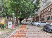 青春庭园-环境绿化