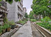 湖滨花园(宝安)-环境绿化