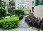 泰安轩-环境绿化