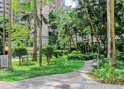 泰安轩-环境绿化