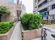 星河明居-环境绿化