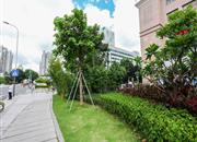 星河明居-环境绿化