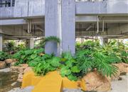 品尚居-环境绿化