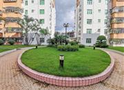 泰华商业城-环境绿化