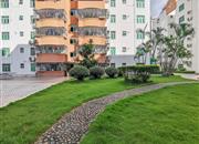 泰华商业城-环境绿化