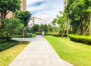 大冲城市花园-环境绿化