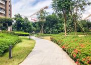 大冲城市花园-环境绿化