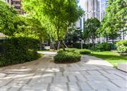 大冲都市花园-环境绿化