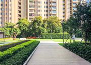 大冲都市花园-环境绿化