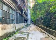 辐照中心-环境绿化