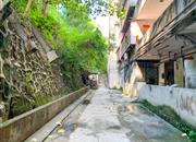 辐照中心-环境绿化