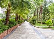 观海台-环境绿化