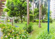 观海台-环境绿化