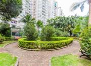 观海台-环境绿化