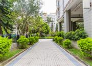 观海台-环境绿化