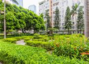 观海台-环境绿化