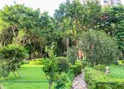 华轩大厦-环境绿化